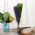 15/25Pcs Reed Natural Home Bunch Dried Pampas Wedding Flower Bunch Bulrush Bouquets Flavorful Small Durable for Home Decor