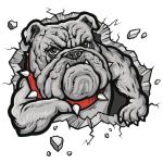 13*17cm Fashion Car Stickers 3D Stereo Anime Funny Creative Personality Kitten Dog Simulation Stickers Car Styling Accessories