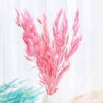 15/25Pcs Reed Natural Home Bunch Dried Pampas Wedding Flower Bunch Bulrush Bouquets Flavorful Small Durable for Home Decor