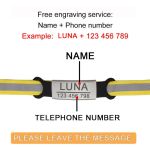 Nylon Collar Reflective Custom Personalized ID Free Engraving Cat Small Dog Cute Nylon Adjustable for Puppy Kittens Necklace