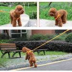 Nylon Pet Safety LED Harness Dog Product Flashing Light Harness LED Dog Harness Leash Rope Belt LED Dog Collar Vest Pet Supplies