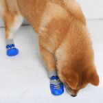 4pcs/Set Cute Cotton Rubber Pet Dog Shoes Waterproof Non-slip Dog Rain Snow Boots Socks For Puppy Large Small Cats Dogs