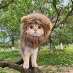 Playful Cat Wig Lion Mane Cosplay Hat - Cute Pet Clothes Cap with Ears for Dogs and Kittens