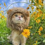 Playful Cat Wig Lion Mane Cosplay Hat - Cute Pet Clothes Cap with Ears for Dogs and Kittens