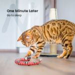 Interactive Cat Toy - Smart Sensing Snake for Pet Dogs and Kittens