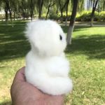 2020 NEW 16CM New Arrival Super Cute Small Koala Bear Plush Toys Adventure Koala Doll Birthday Christmas Gift