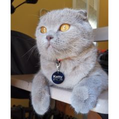 New 1pcs cat dog ID tag Free engraving dog Collar pet Charm Pet name pendant Bone Necklace Collar Puppy cat collar accessory