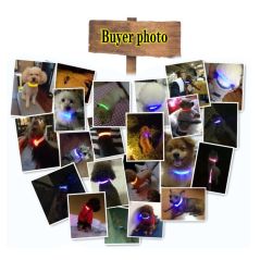 USB charging LED dog light pet dog collar anti-lost at night/avoid cat and dog puppies car accident flashing luminous collar