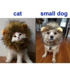 Funny Pet Small Dog Cat Costume Lion Mane Wig Cap Hat for Cat Dog Halloween Christmas Clothes Fancy Dress with Ears Pet Clothes