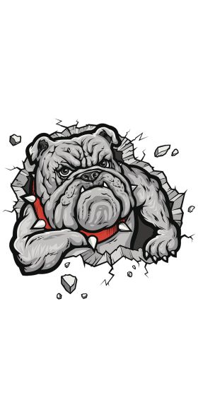 13*17cm Fashion Car Stickers 3D Stereo Anime Funny Creative Personality Kitten Dog Simulation Stickers Car Styling Accessories