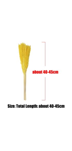 15/25Pcs Reed Natural Home Bunch Dried Pampas Wedding Flower Bunch Bulrush Bouquets Flavorful Small Durable for Home Decor