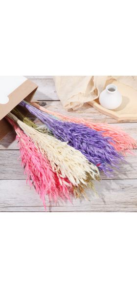 15/25Pcs Reed Natural Home Bunch Dried Pampas Wedding Flower Bunch Bulrush Bouquets Flavorful Small Durable for Home Decor