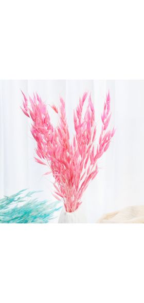 15/25Pcs Reed Natural Home Bunch Dried Pampas Wedding Flower Bunch Bulrush Bouquets Flavorful Small Durable for Home Decor