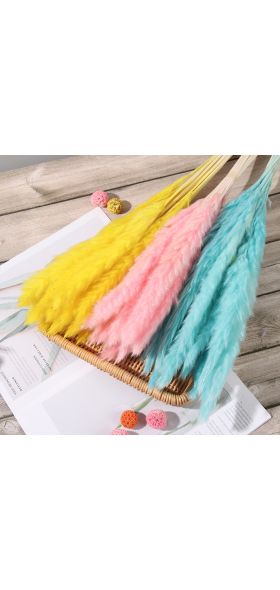 15/25Pcs Reed Natural Home Bunch Dried Pampas Wedding Flower Bunch Bulrush Bouquets Flavorful Small Durable for Home Decor