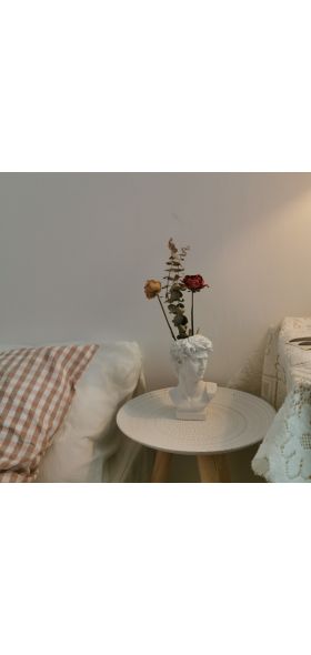 W&G Modern Nordic Style Creative Portrait Vase Human Head Flower Vases Decorative Ornaments Resin David Home Flowers Art Decor