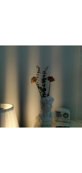 W&G Modern Nordic Style Creative Portrait Vase Human Head Flower Vases Decorative Ornaments Resin David Home Flowers Art Decor