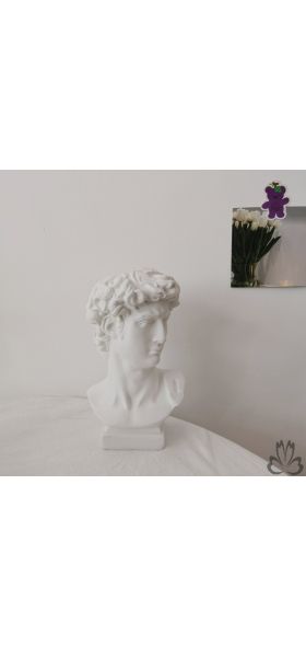 W&G Modern Nordic Style Creative Portrait Vase Human Head Flower Vases Decorative Ornaments Resin David Home Flowers Art Decor