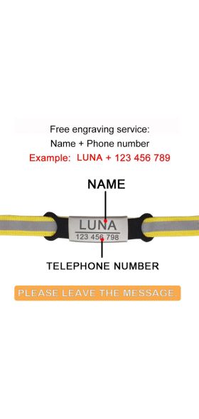 Nylon Collar Reflective Custom Personalized ID Free Engraving Cat Small Dog Cute Nylon Adjustable for Puppy Kittens Necklace