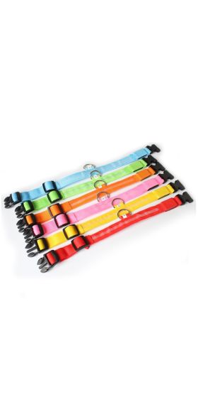 USB charging LED dog light pet dog collar anti-lost at night/avoid cat and dog puppies car accident flashing luminous collar