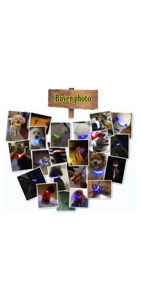 USB charging LED dog light pet dog collar anti-lost at night/avoid cat and dog puppies car accident flashing luminous collar