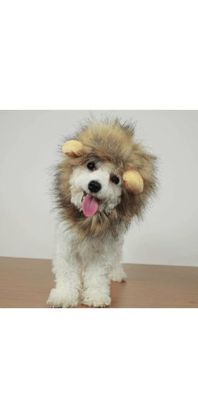 Funny Pet Small Dog Cat Costume Lion Mane Wig Cap Hat for Cat Dog Halloween Christmas Clothes Fancy Dress with Ears Pet Clothes