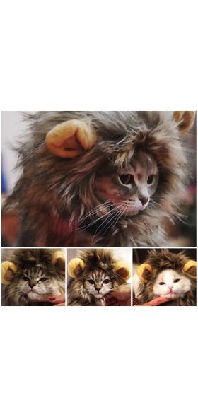 Funny Pet Small Dog Cat Costume Lion Mane Wig Cap Hat for Cat Dog Halloween Christmas Clothes Fancy Dress with Ears Pet Clothes