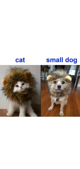 Funny Pet Small Dog Cat Costume Lion Mane Wig Cap Hat for Cat Dog Halloween Christmas Clothes Fancy Dress with Ears Pet Clothes