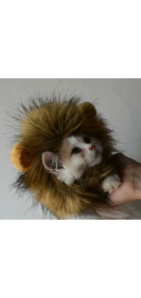 Funny Pet Small Dog Cat Costume Lion Mane Wig Cap Hat for Cat Dog Halloween Christmas Clothes Fancy Dress with Ears Pet Clothes