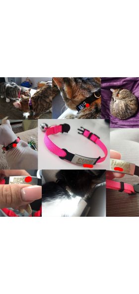 Personalized ID Free Engraving Cat Collar Safety Breakaway Small Dog Cute Nylon Adjustable for Puppy Kittens Necklace