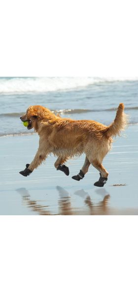 Pet Dog Rainshoes Waterproof Silicone Dog Shoes Anti-skid Boots For Small Medium Large Dogs Cats Rainy Days Appear Pet Supplies