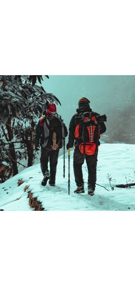 195g/pc carbon fiber external quick lock Trekking pole hiking telescope stick nordic walking stick Shooting Crutch Senderismo