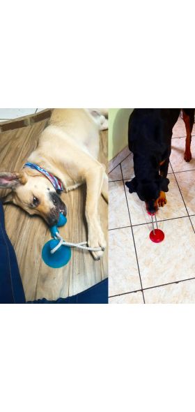 Dog Toys Pet Puppy Interactive Suction Cup Push TPR Ball Toys Molar Bite Toy Elastic Ropes Dog Tooth Cleaning Chewing Supplies