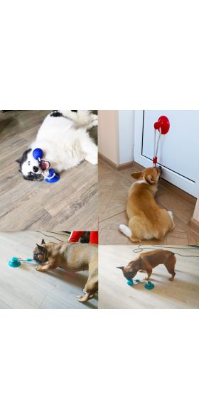 Dog Toys Pet Puppy Interactive Suction Cup Push TPR Ball Toys Molar Bite Toy Elastic Ropes Dog Tooth Cleaning Chewing Supplies