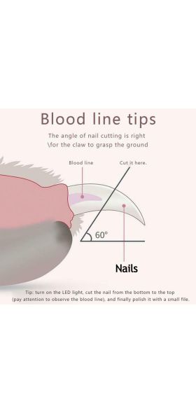 Pet Nail Clipper Scissors Professional LED Safety Nail Clippers Stainless Steel Convenient Nail Cutter Pet Dog Cat Claw Toe Clea