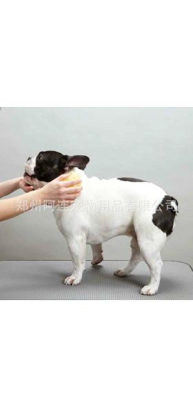 Pet Washer Dog Cat Massage Brush Comb Cleaner Puppy Wash Tools Soft Gentle Silicone Bristles Quickly Cleaing Brush Tools