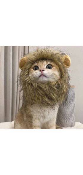 Playful Cat Wig Lion Mane Cosplay Hat - Cute Pet Clothes Cap with Ears for Dogs and Kittens