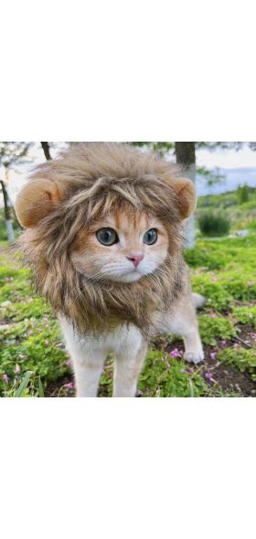 Playful Cat Wig Lion Mane Cosplay Hat - Cute Pet Clothes Cap with Ears for Dogs and Kittens