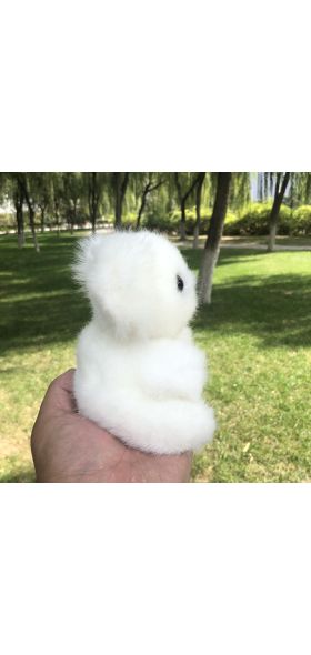 2020 NEW 16CM New Arrival Super Cute Small Koala Bear Plush Toys Adventure Koala Doll Birthday Christmas Gift