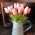 5/10/20pcs Tulip Artificial Flower Real Touch Artificial Tulip Bouquet Fake Flower for Home Gift Wedding Decorative Flowers