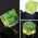 Junejour 1PC Green One/Two/Three-Dimensional Bubble Spirit Level For Camera Level Adapter For Cameras Measuring Insturments Tool