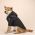 Pet Dog Winter  Waterproof Coat Puppy Warm Jacket The Dog Face Hoodie Reflective Clothing For Small Medium Dogs Cat Pet Clothes