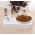 Pet cat Bowl Automatic water Feeder Dog Cat Food Bowl Water Dispenser Double Bowl Drinking Raised Stand Dish Bowls Pet supply