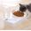 Pet cat Bowl Automatic water Feeder Dog Cat Food Bowl Water Dispenser Double Bowl Drinking Raised Stand Dish Bowls Pet supply