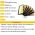 60pcs eyelash bundles/box individual lashes professional Makeup  eyelash extension supplies false eyelashes beam eyelashes cilia