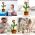 120 Song Dancing Cactus Plush Stuffed talking Plushie Doll Speak Talk Sound Record Repeat Dancer Toys for Girl Children Baby boy