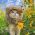 Playful Cat Wig Lion Mane Cosplay Hat - Cute Pet Clothes Cap with Ears for Dogs and Kittens