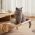 Durable Wooden Assembly Cat Window Hanging Bed and Popular Hammock Nest Beds