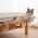 Durable Wooden Assembly Cat Window Hanging Bed and Popular Hammock Nest Beds