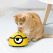Intelligent Escaping Pet Toys Automatic Interactive Toys For Kids Cats Dogs Pets Infrared Sensor Rabbit Pet Supplies Accessories